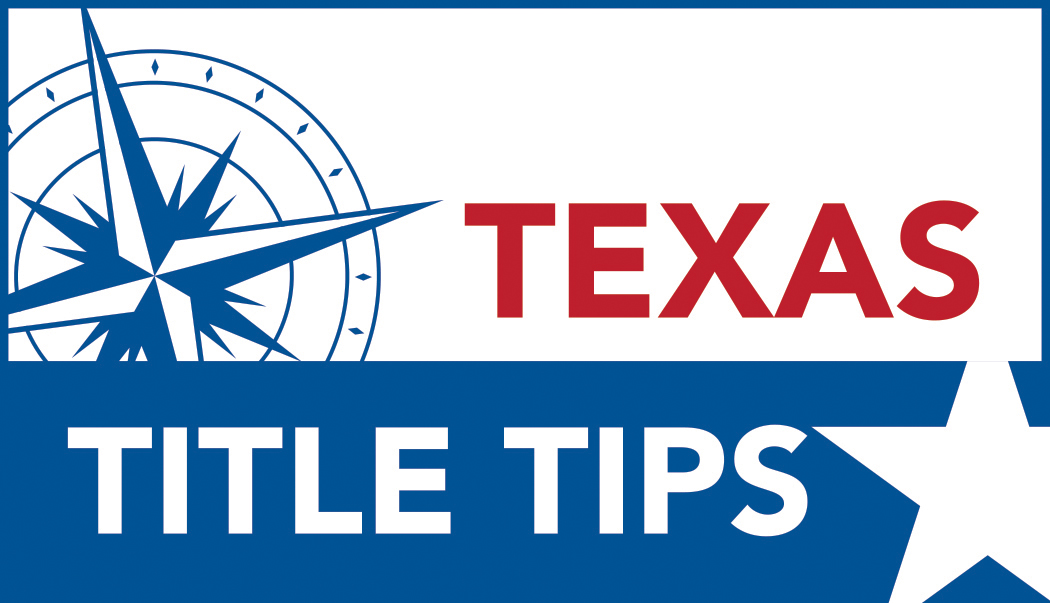 Texas Badge